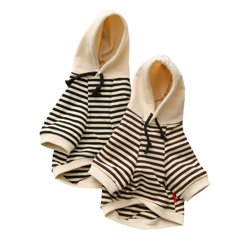 Cotton terry sweater for small dogs in khaki colour, sweatshirt style for Teddy breed