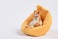 Lazy cat car ornament set with miniature sofa, 7.5 cm tall resin decoration