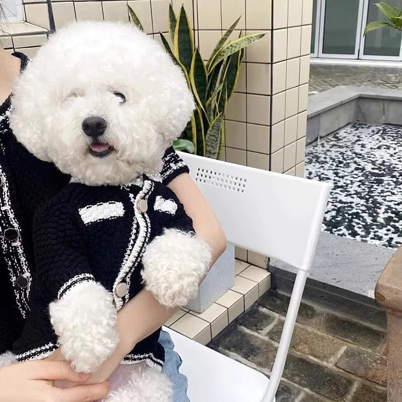 Korean princess style white dog sweater with pearl collar on small dog