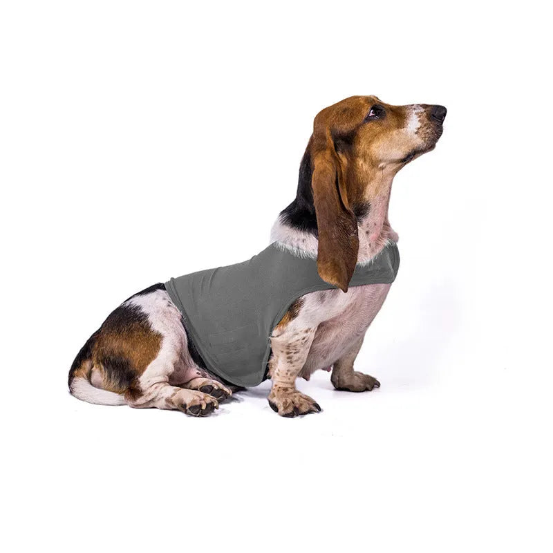 Anxiety jacket vest for cats and dogs in dark grey, showing front view with snap fasteners