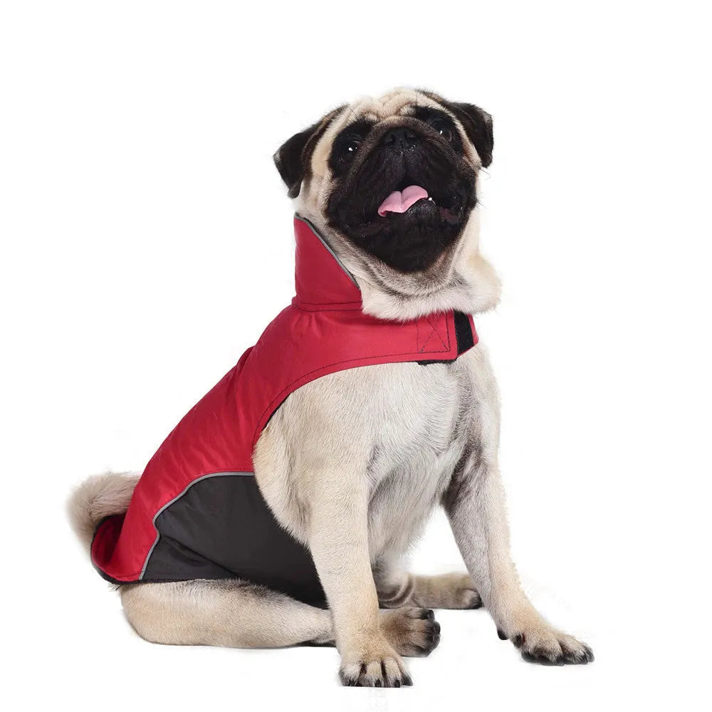 Waterproof vest jacket for dog in dark blue, showing vest style for autumn winter outdoor use.