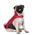 Waterproof vest jacket for dog in dark blue, showing vest style for autumn winter outdoor use.
