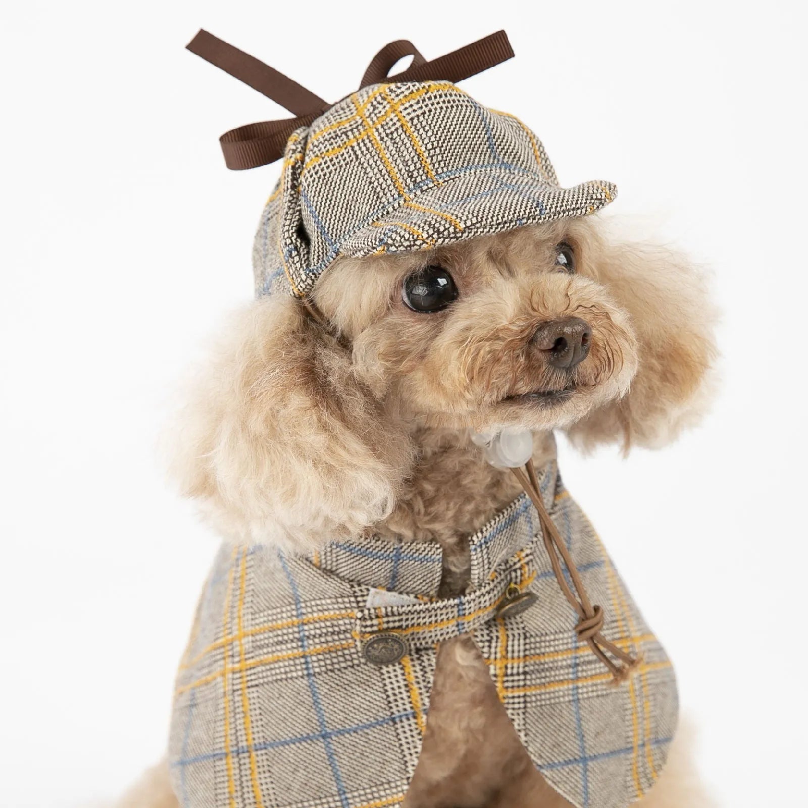 Camel coloured cotton pet cloak with adjustable hood shown in personalised spring and autumn pet clothing
