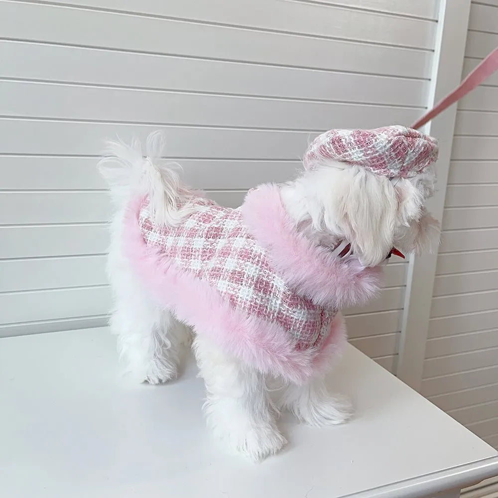 Pink cat clothing set with beret, cloak and hand holding rope for female cats