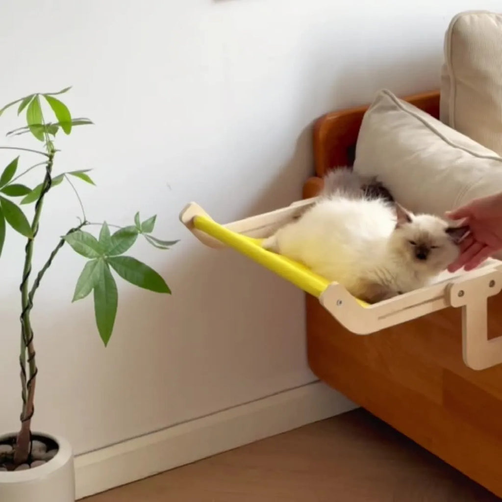 Hanging cat hammock on windowsill for basking in sun with colour options