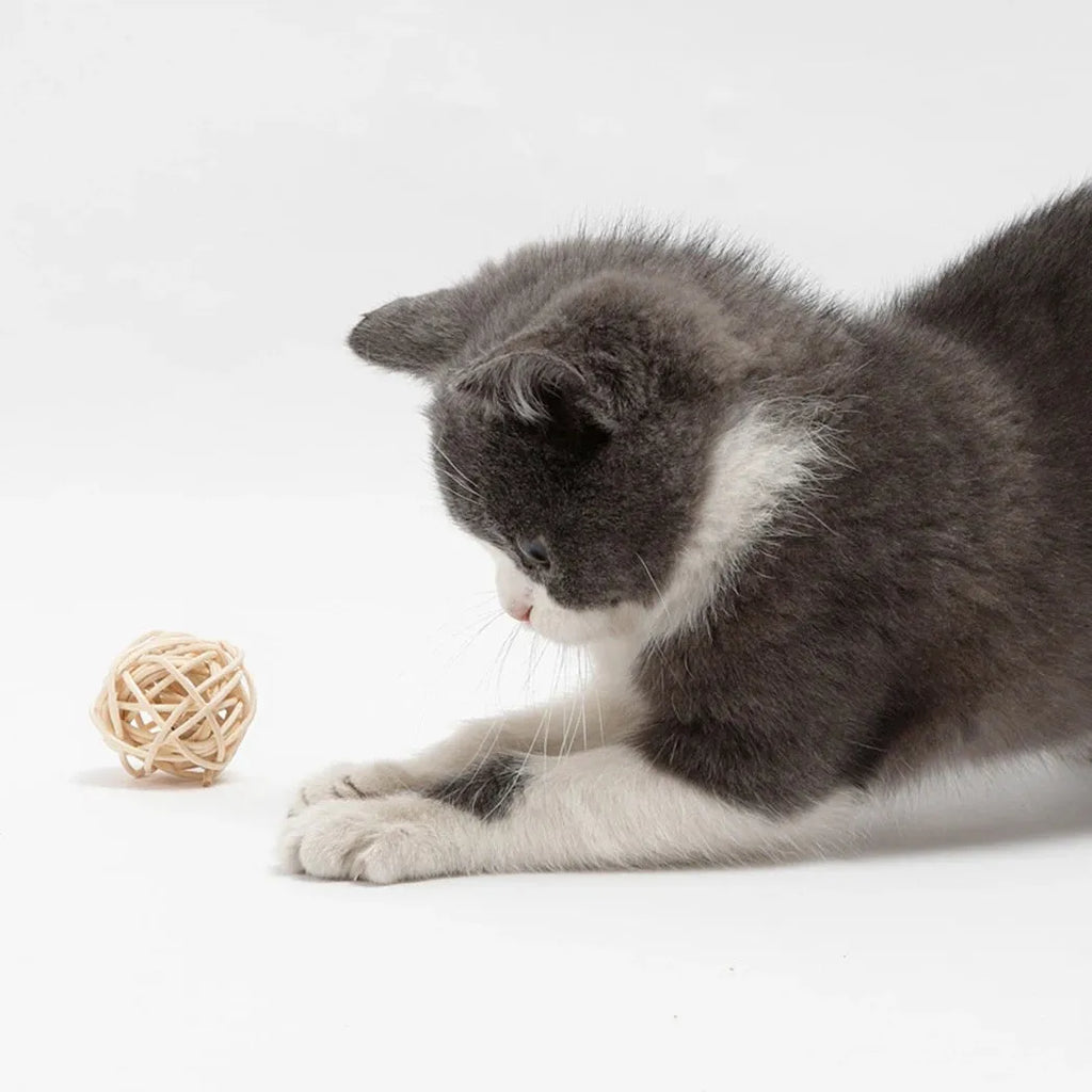 Two cat toys: a natural rattan ball with a bell and a colourful faux feather ball on a plain surface.