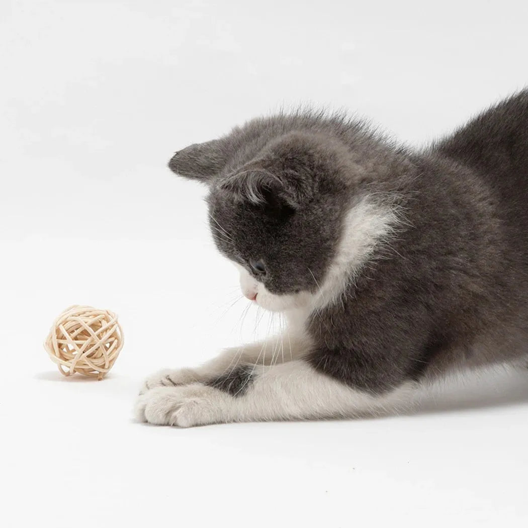 Two cat toys: a natural rattan ball with a bell and a colourful faux feather ball on a plain surface.