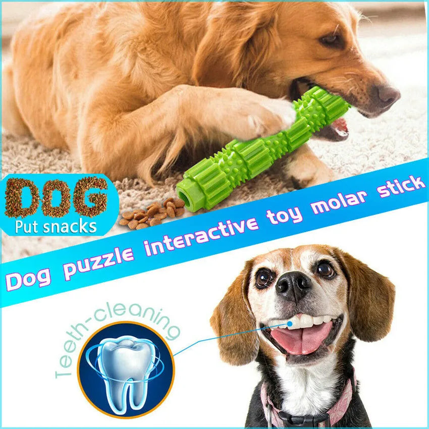 Green and orange natural rubber dog chew toy with treat-dispensing hole for aggressive chewers.