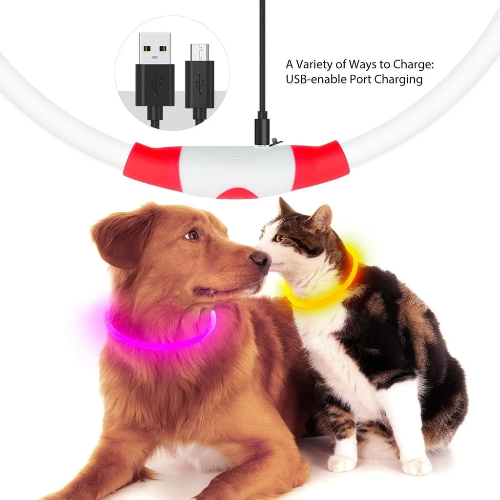 USB rechargeable LED dog safety collar with glowing light and adjustable 70cm TPU construction