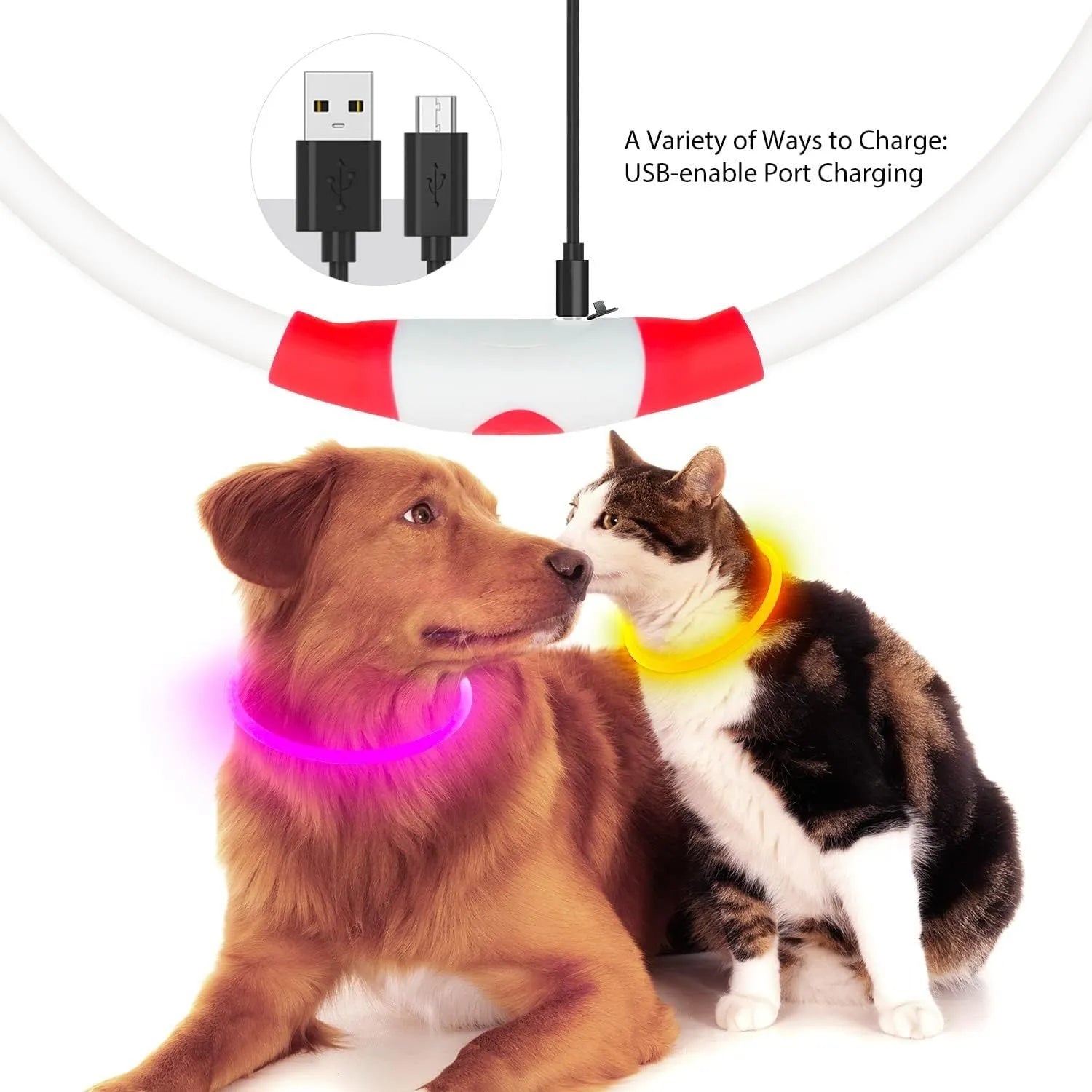 USB rechargeable LED dog safety collar with glowing light and adjustable 70cm TPU construction