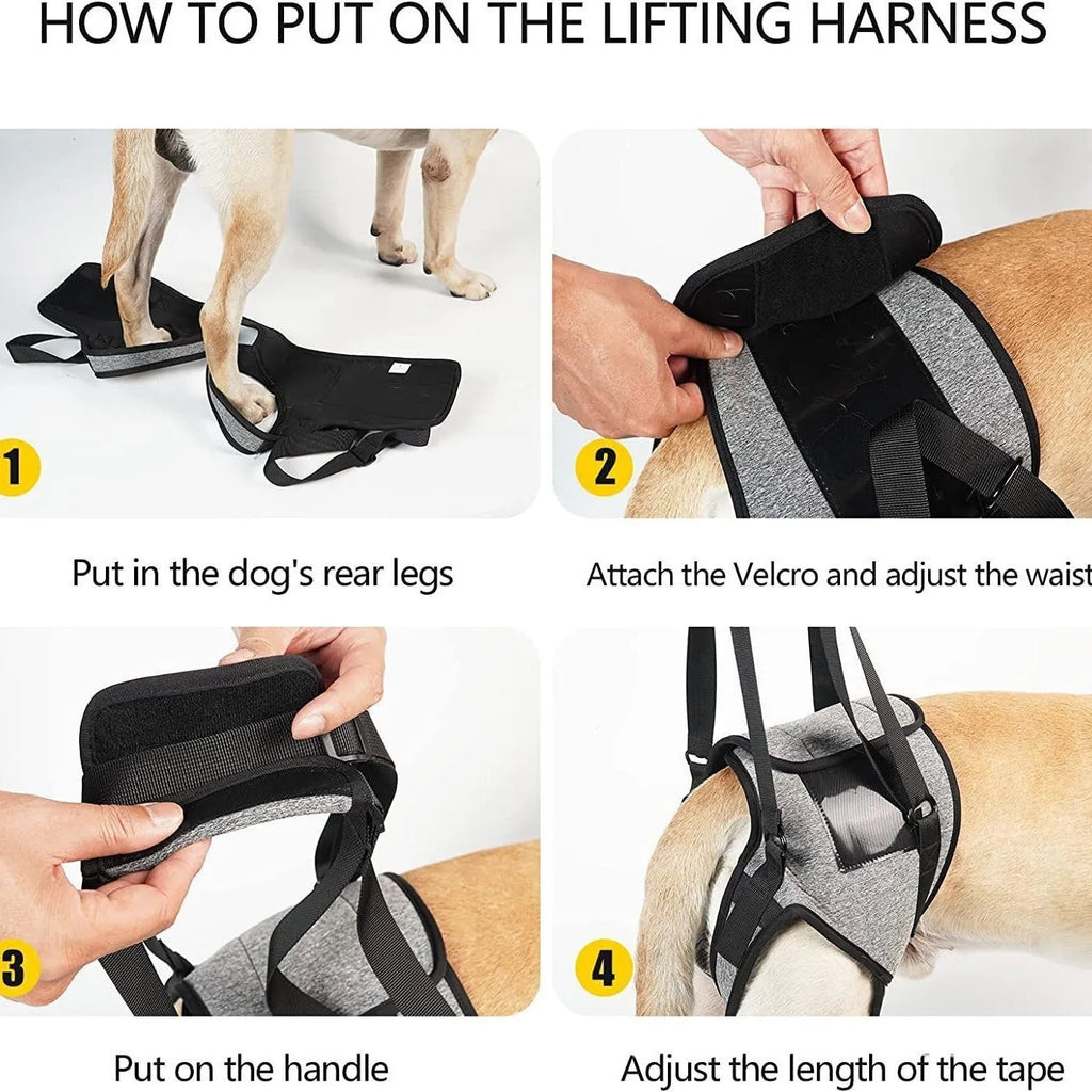 Grey neoprene dog rear leg recovery belt showing adjustable sizing for injury support