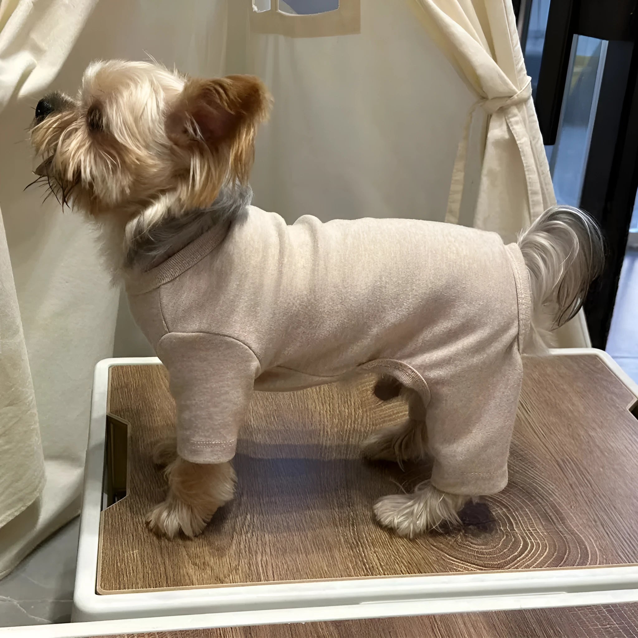 Four-legged cotton pet undershirt for small dogs, solid colour design, five sizes S-XXL