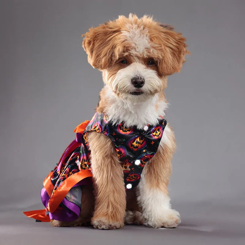 Halloween dog skirt with colourful pumpkin print, double-layer design