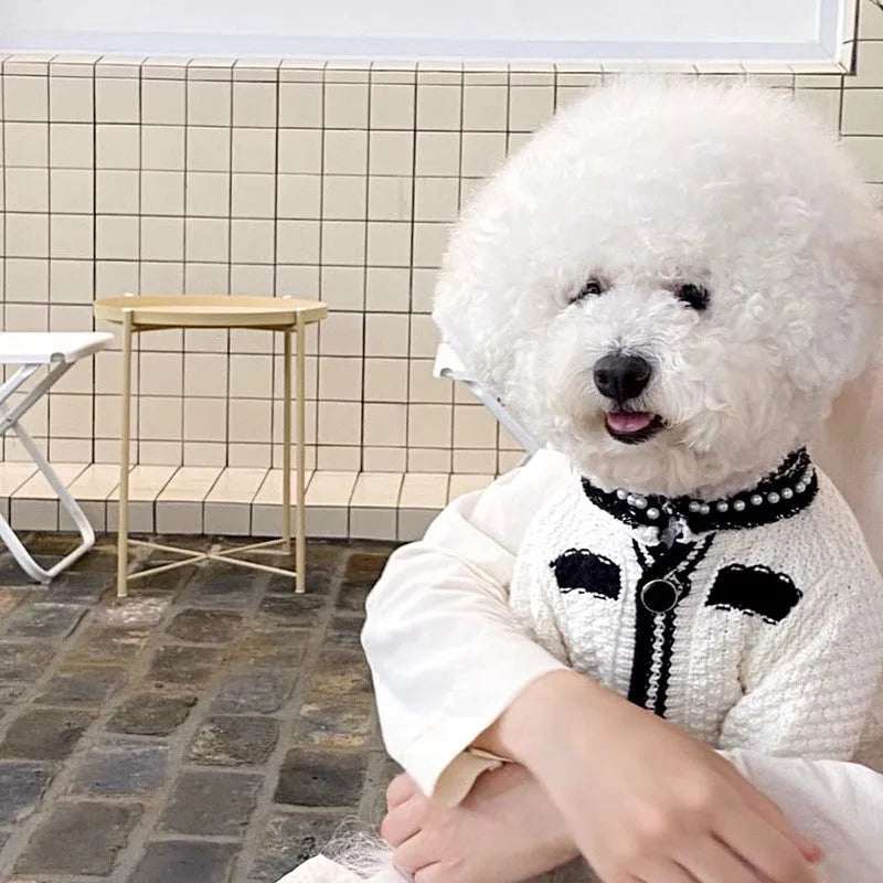 Korean princess style white dog sweater with pearl collar on small dog