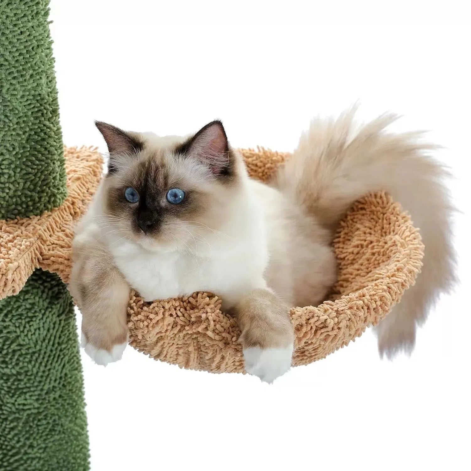 Solid wood cat climbing frame with cactus-shaped nest, scratch board, and toys measuring 240cm tall