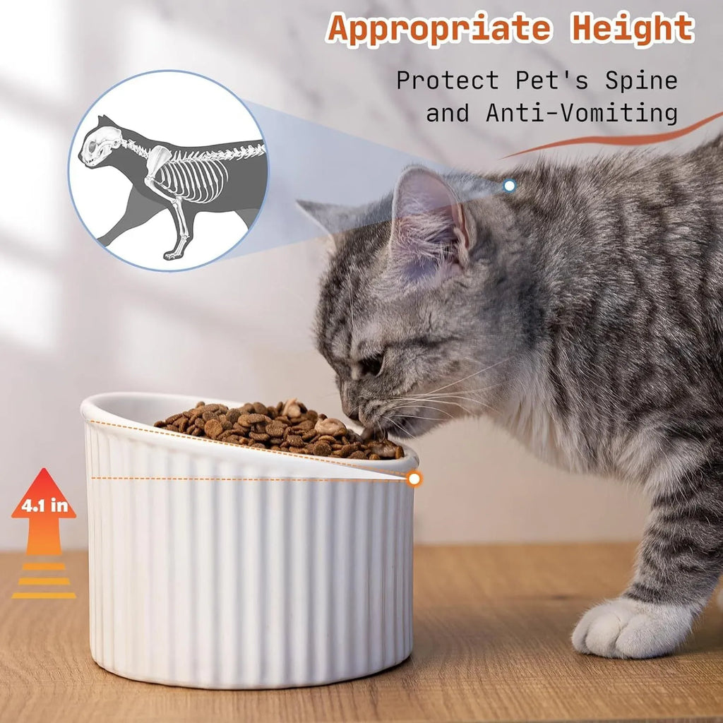 A dark green ceramic elevated cat bowl with a tilted, round shape.