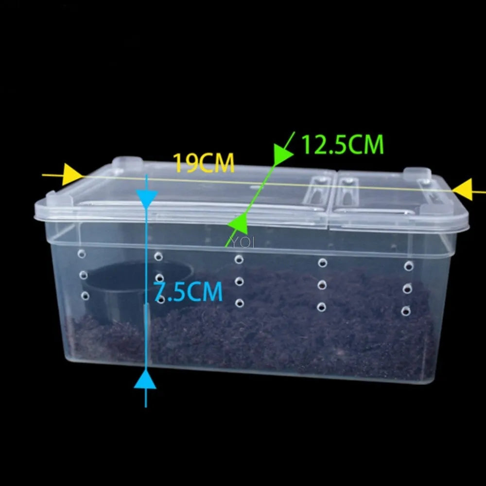 Plastic transparent reptile feeding box 19x12.5x7.5cm on a white background