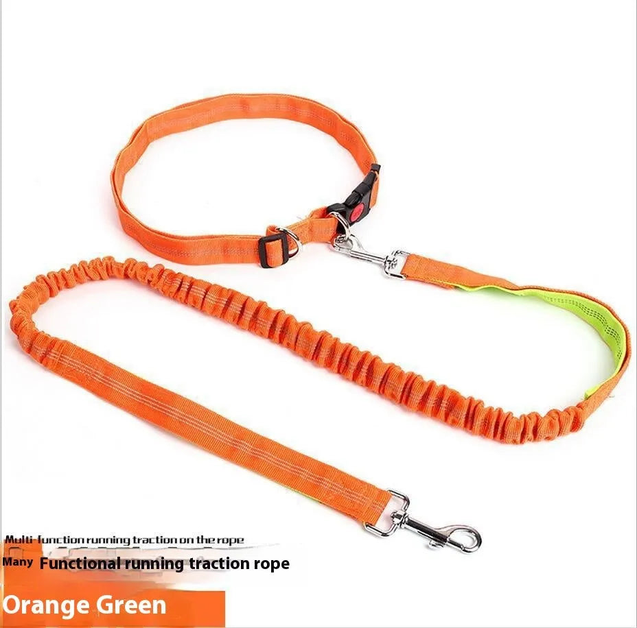 Elastic dog leash with reflective filament in gray and blue colour combination showing 2.5cm width