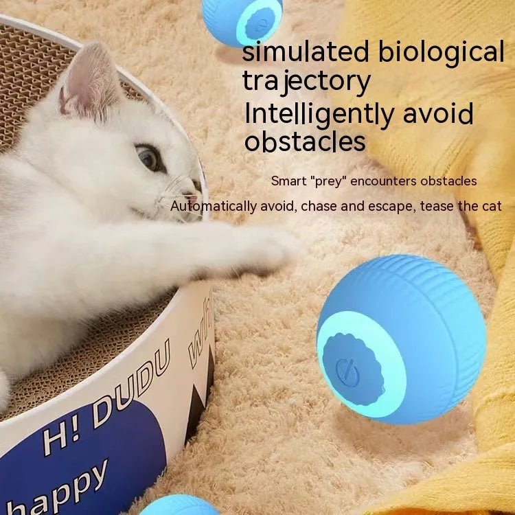 Blue silicone gravity rolling cat teasing ball on a light floor