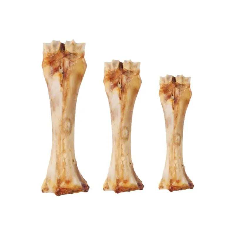 Puppy molar rod for teeth cleaning and calcium supplement in three sizes
