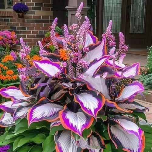 Pack of 50 coloured leaves jade barrettes flower seeds in clear OPP packaging.