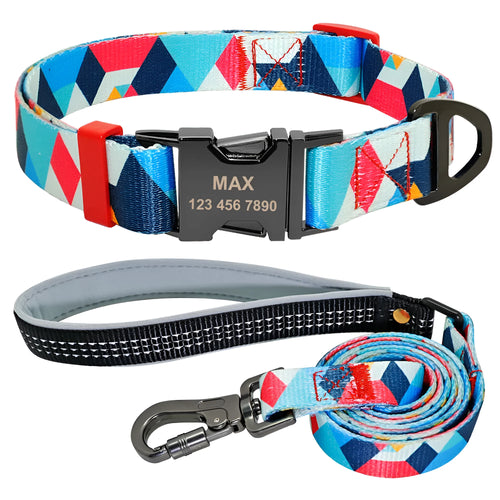 Blue nylon dog collar with direct tag lettering, fitted on a medium-sized dog with visible printed text