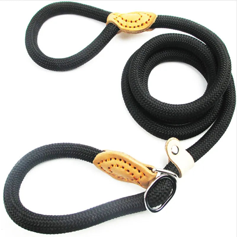 Brown nylon dog leash with metal P-chain section and rope handle measuring 2.1 metres