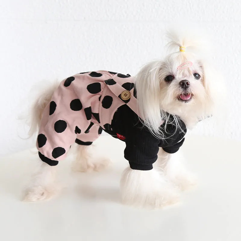 Casual cloth dog clothes showing skirt and four-legged style options in various sizes