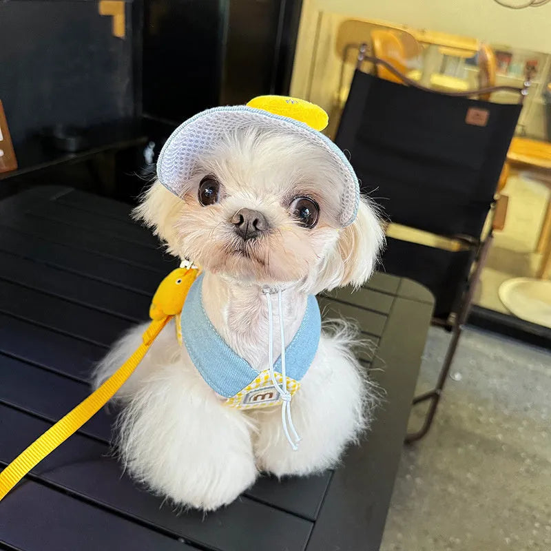 Pet harness and leash set with cat clothes outfit and hat for spring summer outdoor walking