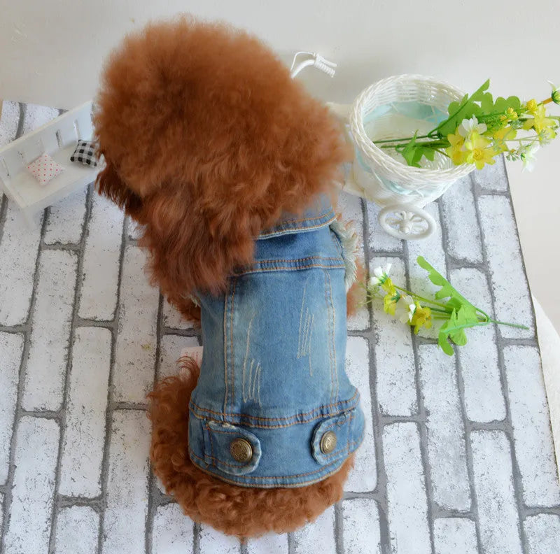 Denim dog vest with retro scratch pattern for small breed pet in dark wash colour