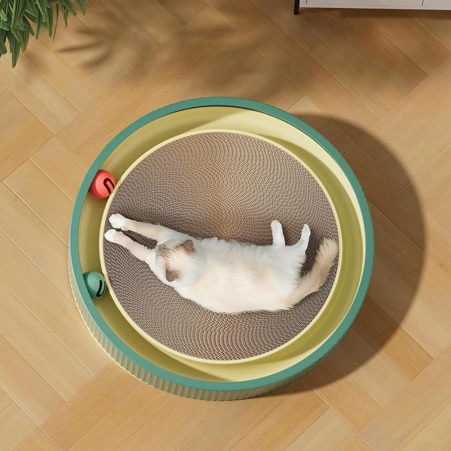 Large circular cat scratching board with green replaceable core and interactive bell toys