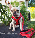 Ins dog breathable mesh chest harness in red letter polyester, side view showing red lettering on chest and back panel