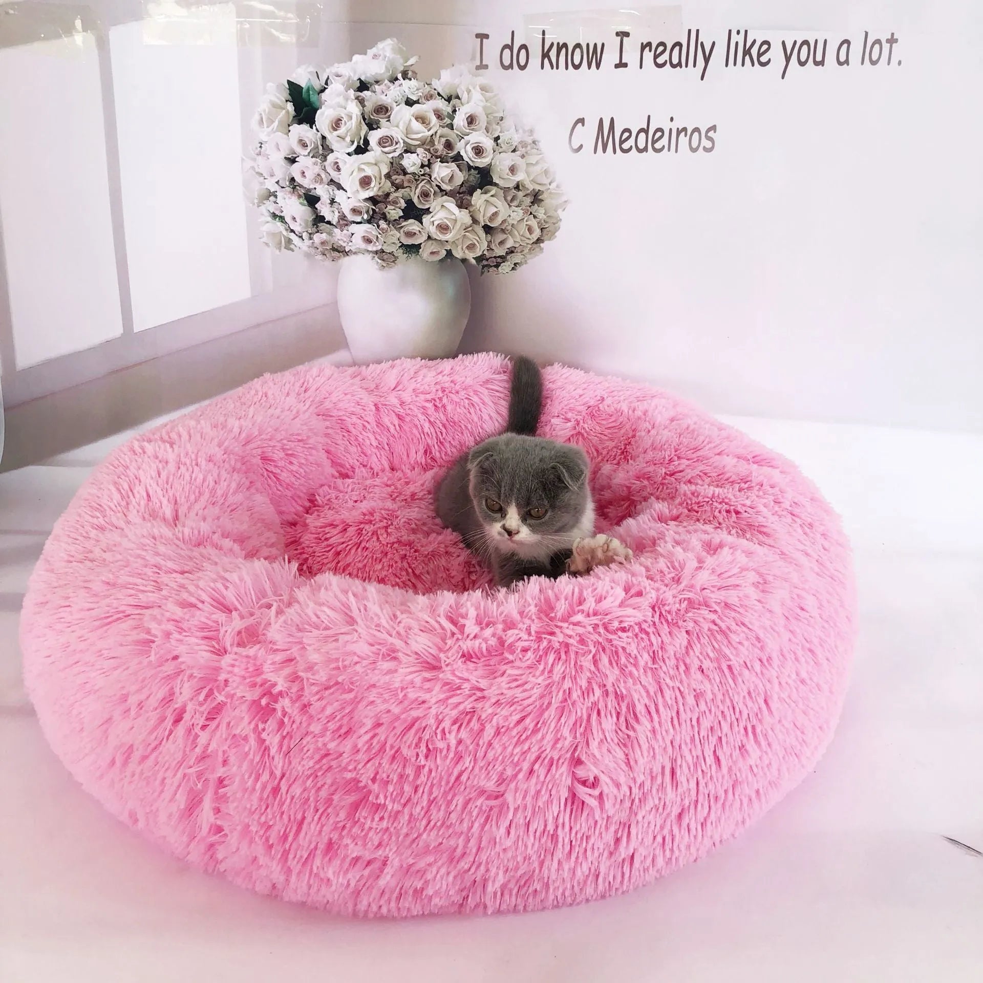 Plush pet nest in apricot colour on floor, soft cloth circular dog bed 40cm diameter indoor use