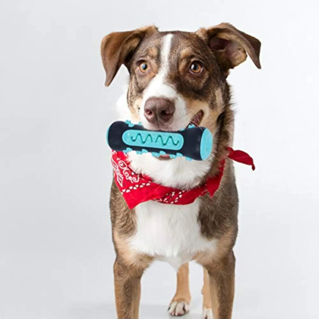 Natural rubber dog toothbrush chew toy in blue colour for dental cleaning, showing textured stick design