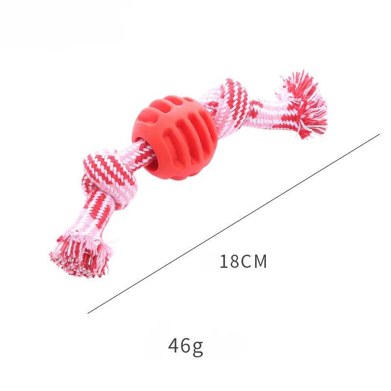 Blue molar-shaped dog chew toy with natural fibre ropes for dental cleaning
