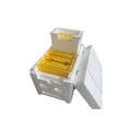 Three white EPS foam mini delivery boxes for bee breeding and hive transport.
