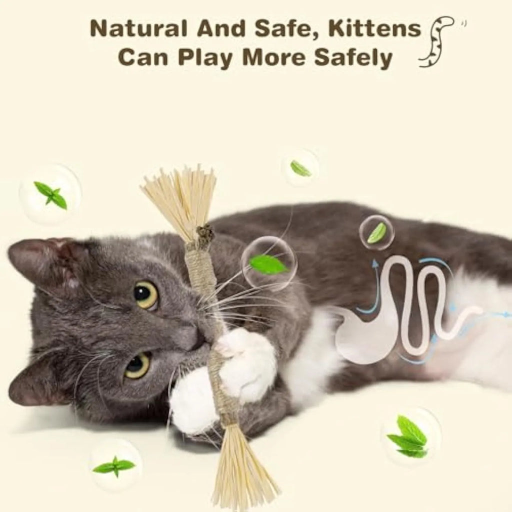 A 3 pack of natural silvervine chew sticks for cats on a wooden surface, showing thick and fine diameter options.
