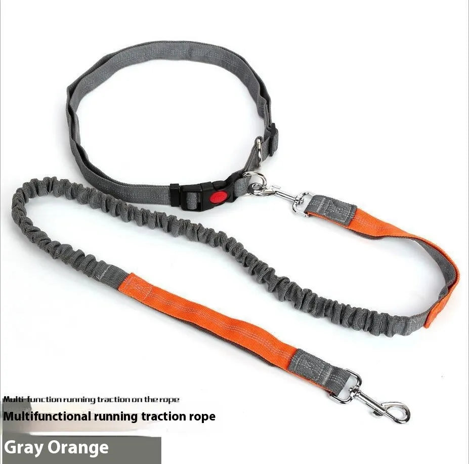 Elastic dog leash with reflective filament in gray and blue colour combination showing 2.5cm width