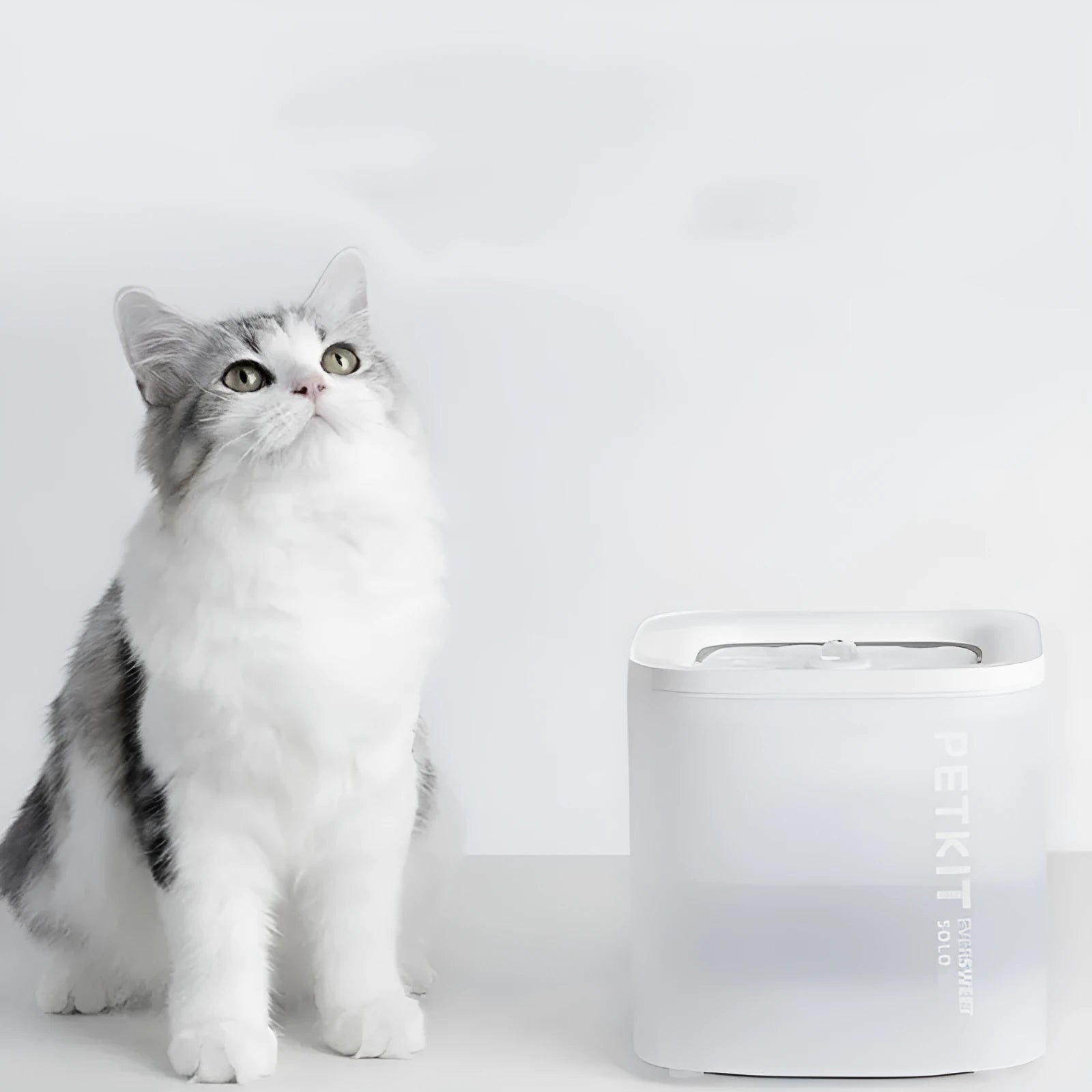 Smart pet water dispenser with filtration system for dogs and cats