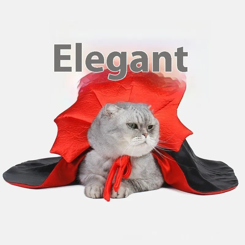 Black and red Halloween costume outfit for cat or dog with European American styling