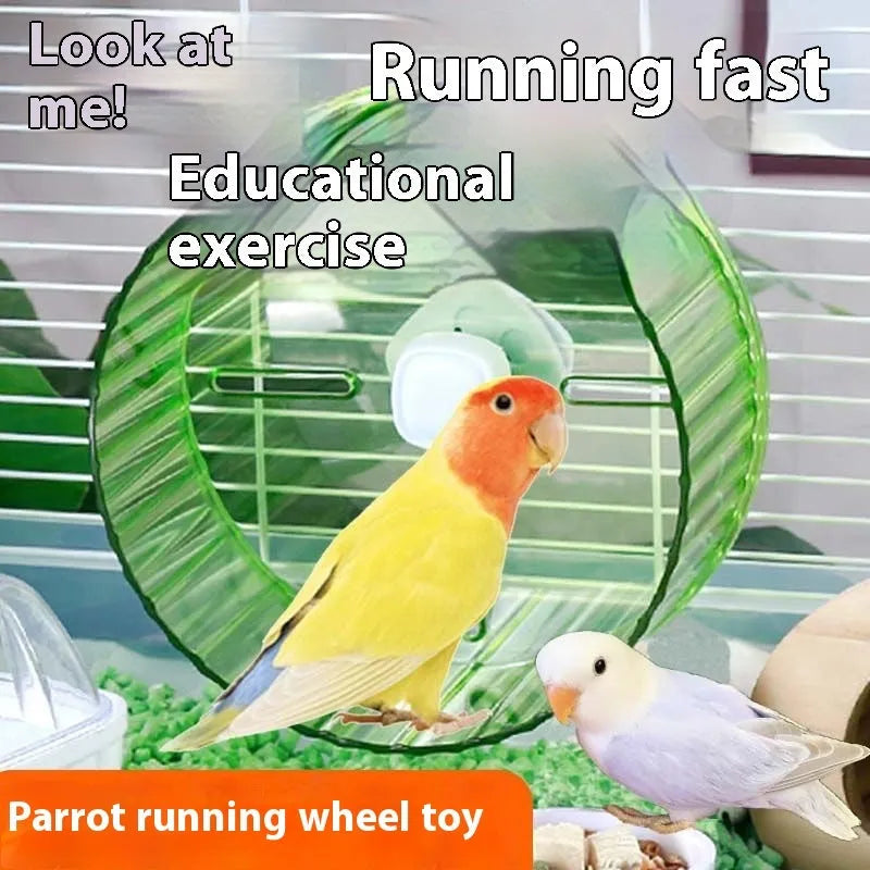 Parrot running wheel toy in plastic with transparent, green, orange, grey, and purple colour options