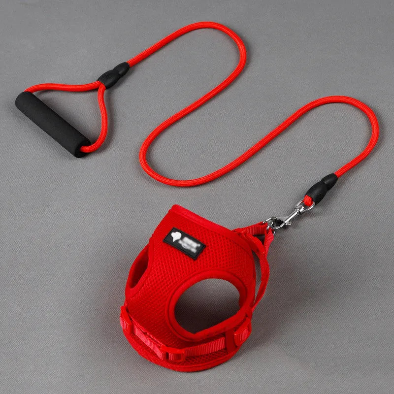 Blue dog leash with foam handle, 120cm long with adjustable collar for small to medium dogs
