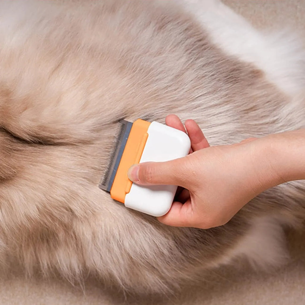 Blue double-sided pet grooming comb for deshedding cats and dogs