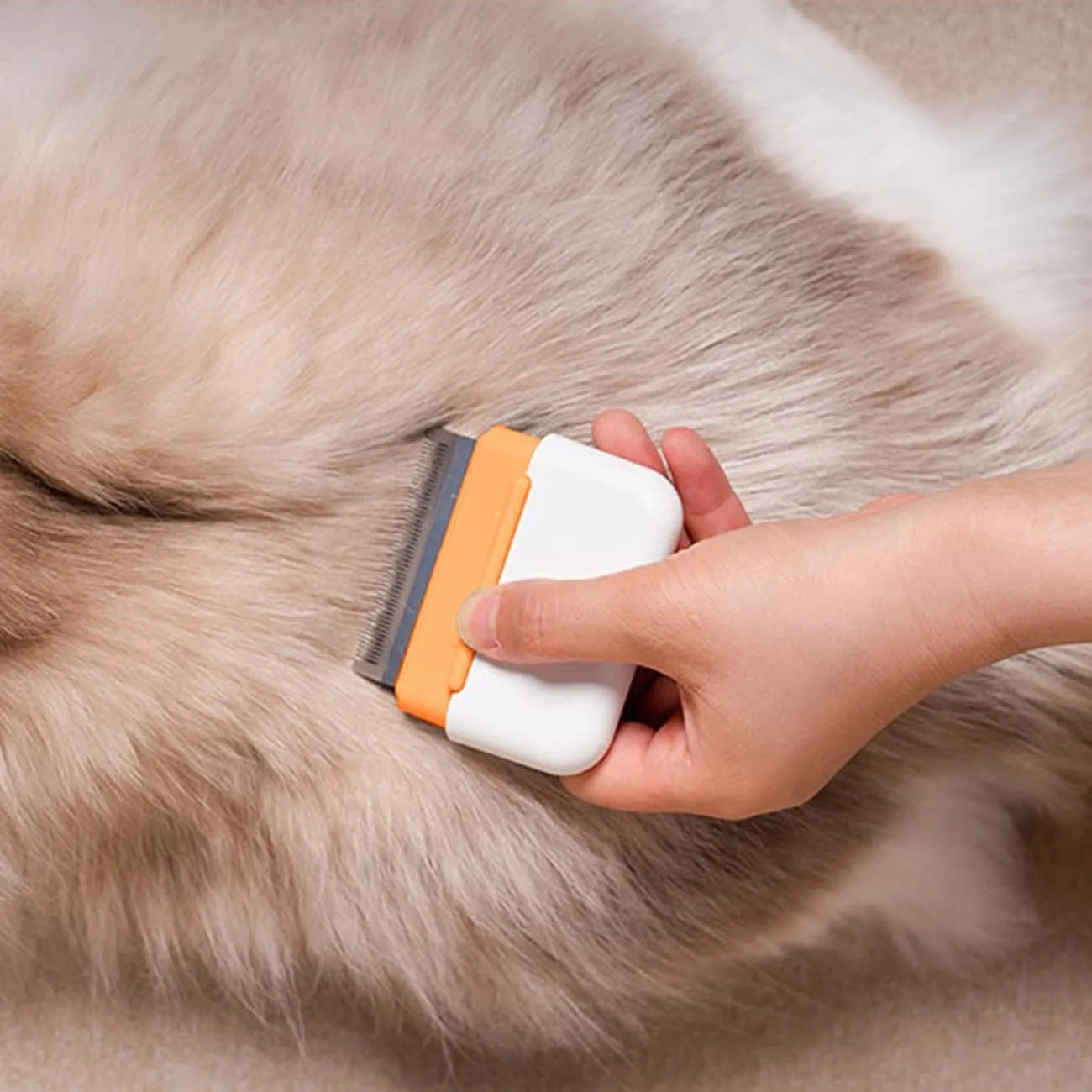 Blue double-sided pet grooming comb for deshedding cats and dogs