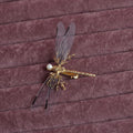 Golden dragonfly-shaped side clip headdress hair accessory for women