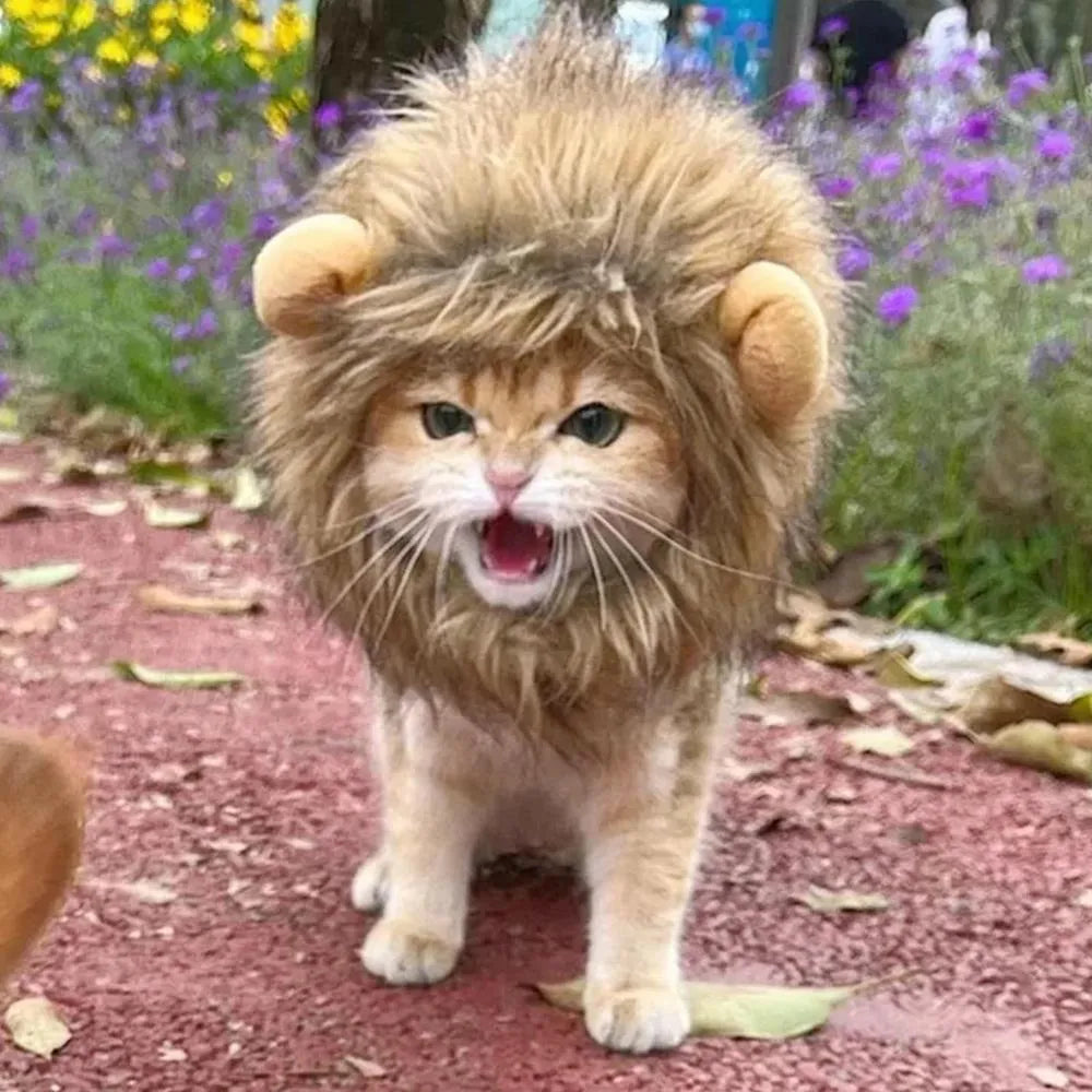 Lion mane wig costume accessory for cats and dogs with artificial hair construction