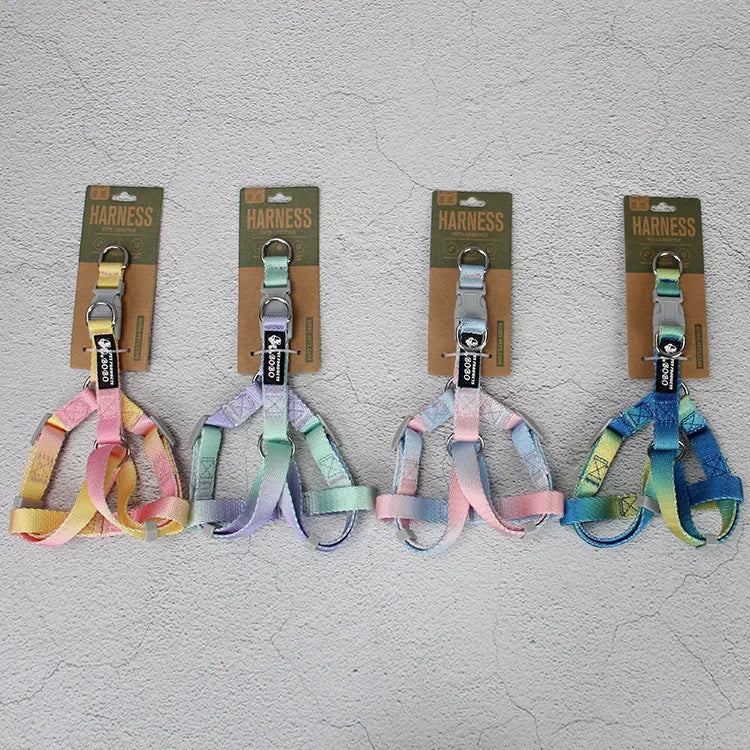 Gradient colour nylon dog leash set showing pink and yellow colour blend on a chest back harness style.