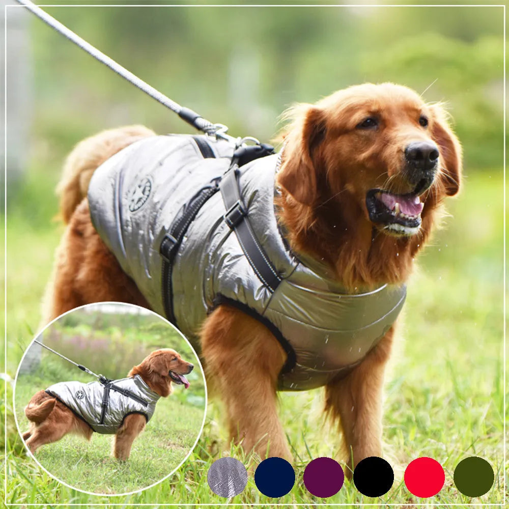 Waterproof dog coat with harness hole in rain silk fabric, available in multiple colours and sizes