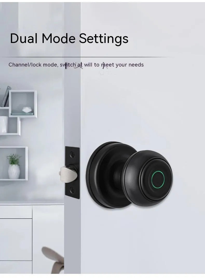 Smart fingerprint lock for security door in black modern simplicity style with keyhole and sensor