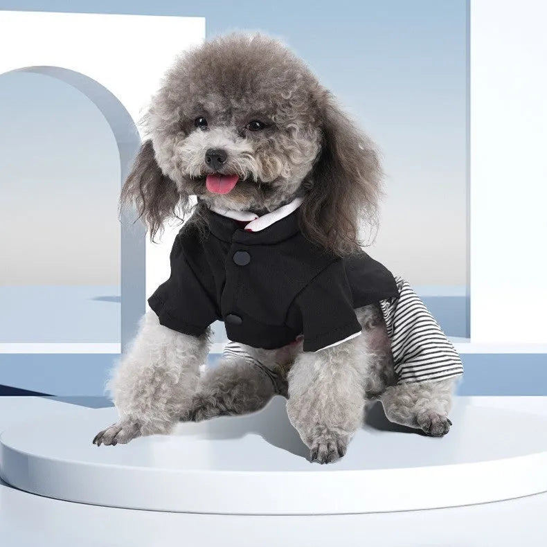 Cotton poodle dog clothes in skirt and four-legged pants styles for spring summer autumn wear
